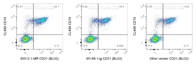CD21 Antibody in Flow Cytometry (Flow)