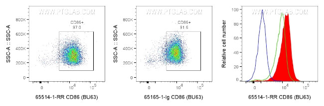 CD86 Antibody in Flow Cytometry (Flow)
