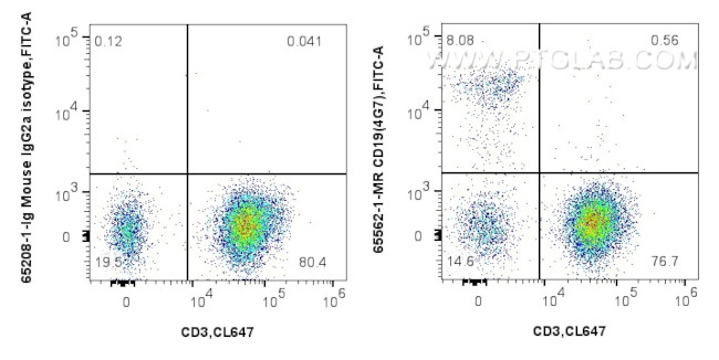 CD19 Antibody in Flow Cytometry (Flow)