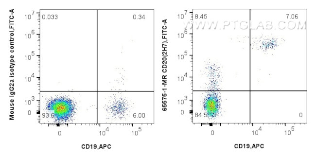 CD20 Antibody in Flow Cytometry (Flow)