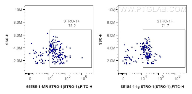 STRO-1 (STRO-1) Antibody in Flow Cytometry (Flow)