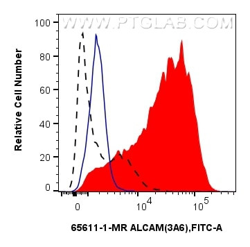 ALCAM Antibody in Flow Cytometry (Flow)