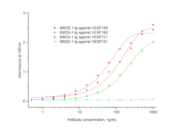VEGF165/121 Antibody in ELISA (ELISA)