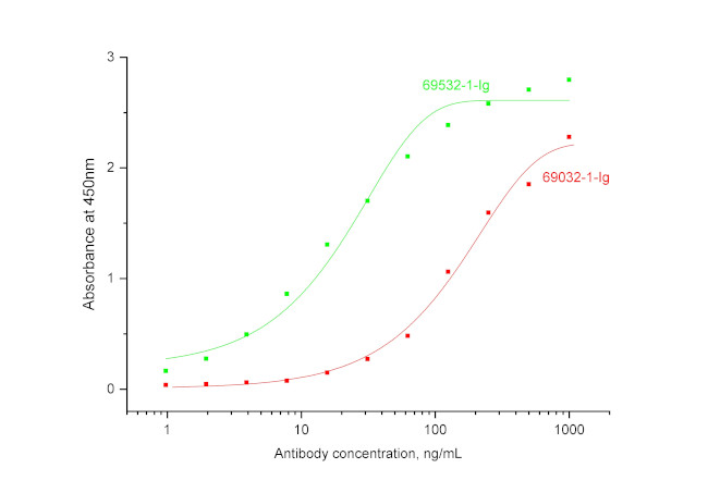 FLT3 Ligand Antibody in ELISA (ELISA)