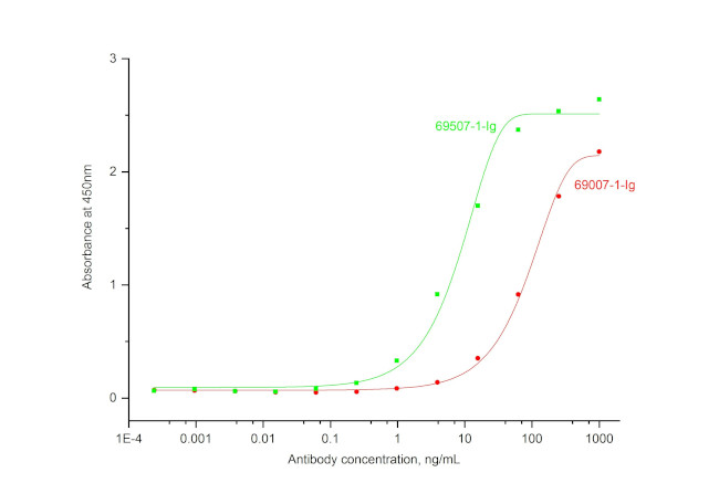 IFN gamma Antibody in ELISA (ELISA)