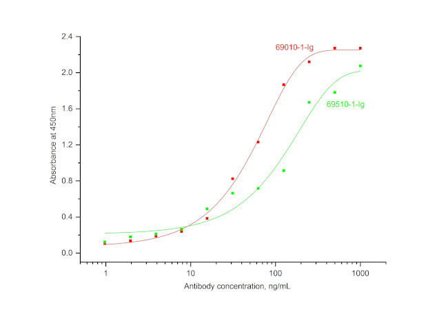 Noggin Antibody in ELISA (ELISA)