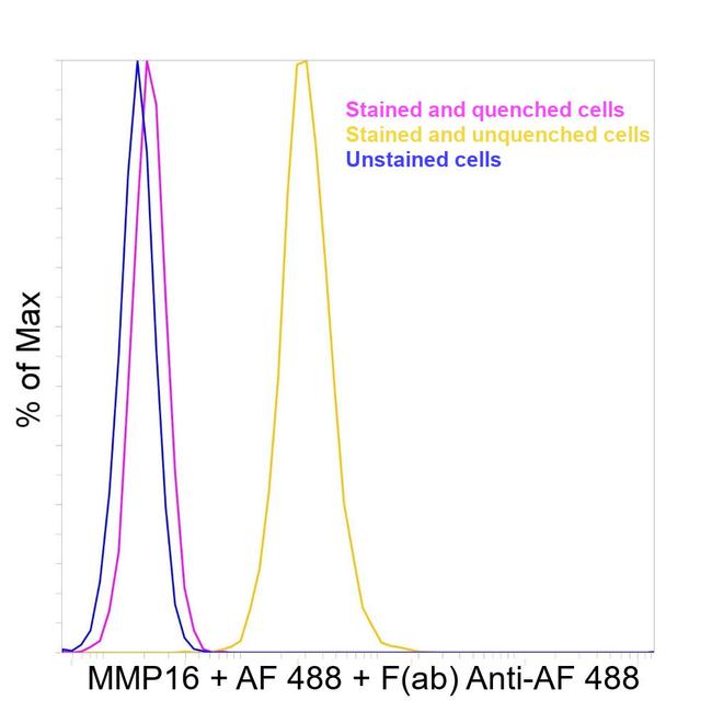 Alexa Fluor 488 Antibody in Flow Cytometry (Flow)