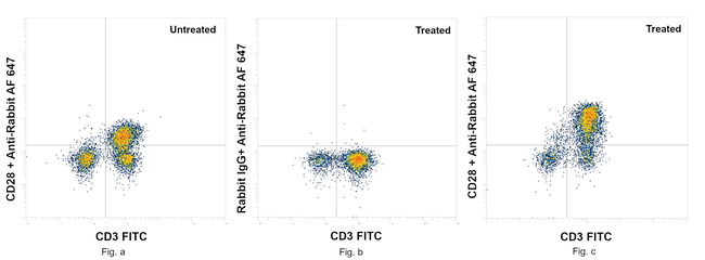 CD28 Antibody in Flow Cytometry (Flow)