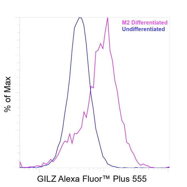 GILZ Antibody in Flow Cytometry (Flow)