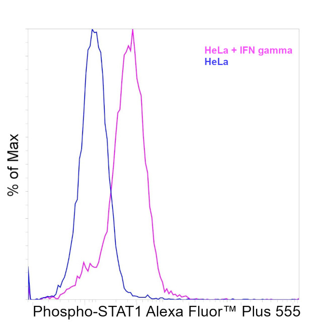 Phospho-STAT1 (Tyr701) Antibody in Flow Cytometry (Flow)