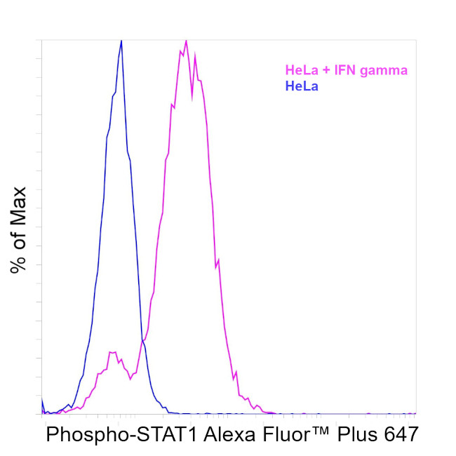 Phospho-STAT1 (Tyr701) Antibody in Flow Cytometry (Flow)