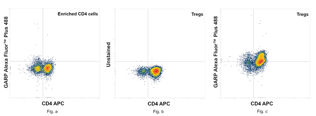 GARP Antibody in Flow Cytometry (Flow)