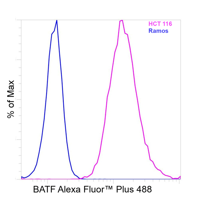BATF Antibody in Flow Cytometry (Flow)