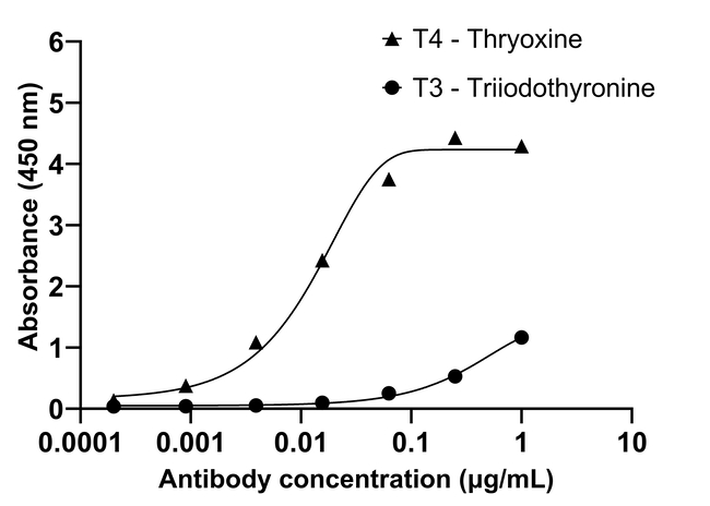L-Thyroxine (T4) Antibody in ELISA (ELISA)