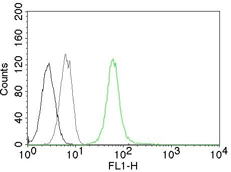 Vimentin (Mesenchymal Cell Marker) Antibody in Flow Cytometry (Flow)