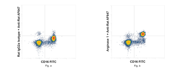 Arginase 1 Antibody in Flow Cytometry (Flow)