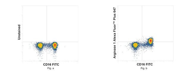 Arginase 1 Antibody in Flow Cytometry (Flow)