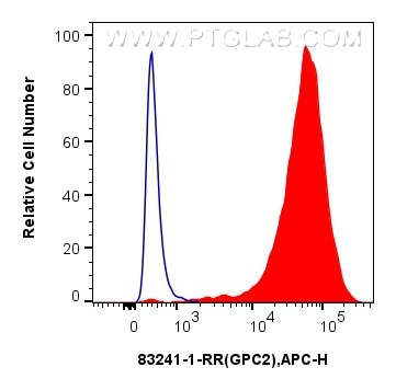 Glypican 2 Antibody in Flow Cytometry (Flow)