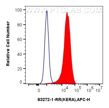 KERA Antibody in Flow Cytometry (Flow)