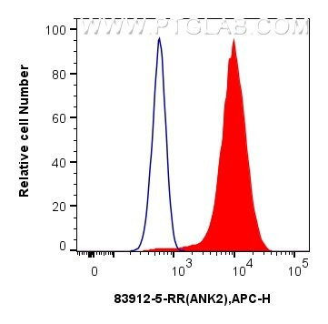 ANK2 Antibody in Flow Cytometry (Flow)