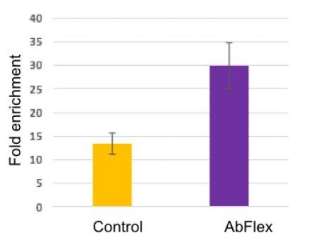 Ago1/2/3 Antibody in Immunoprecipitation (IP)