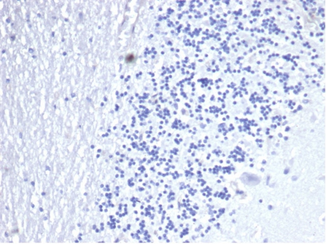 CD3e (T-Cell Marker) Recombinant Monoclonal Antibody (C3e/4653R) (916 ...