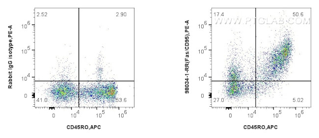 Fas/CD95 Antibody in Flow Cytometry (Flow)
