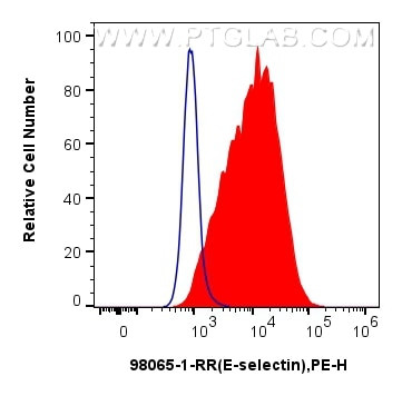E-selectin/CD62E Antibody in Flow Cytometry (Flow)