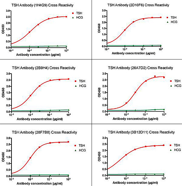 TSH Antibody in ELISA (ELISA)