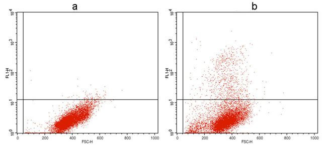 NWSHPQFEK Tag Antibody in Flow Cytometry (Flow)