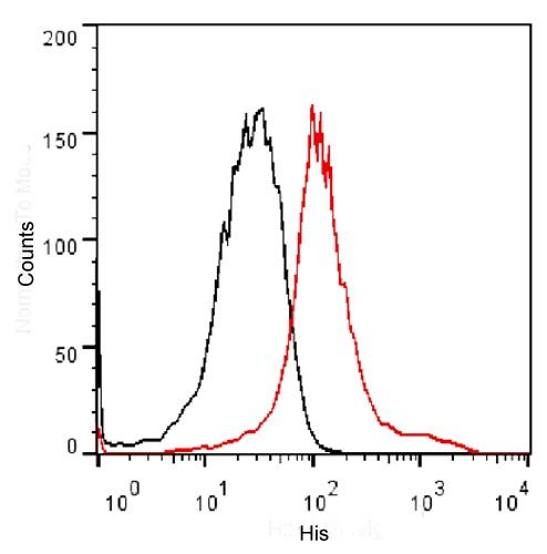 His Tag Antibody in Flow Cytometry (Flow)
