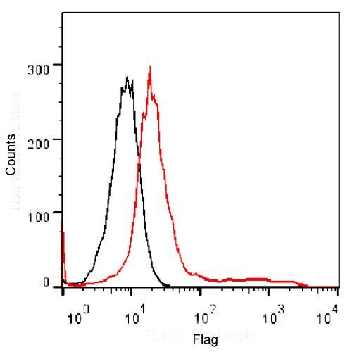 DYKDDDDK Tag Antibody in Flow Cytometry (Flow)