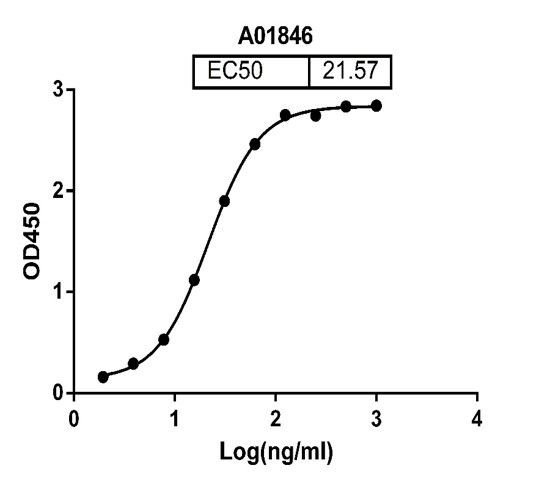 Pembrolizumab Antibody in ELISA (ELISA)