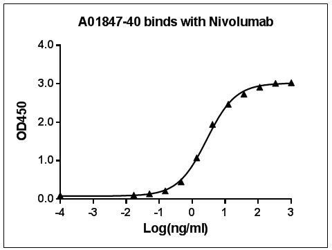 Nivolumab Antibody in ELISA (ELISA)