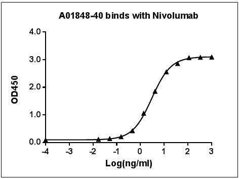 Nivolumab Antibody in ELISA (ELISA)