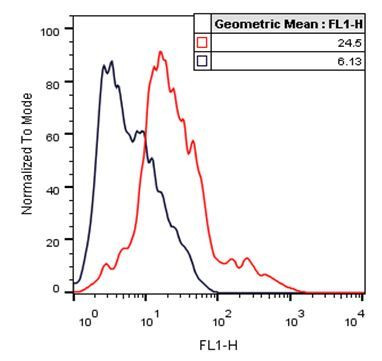 DYKDDDDK Tag Antibody in Flow Cytometry (Flow)