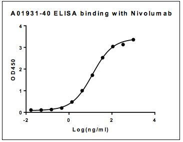Nivolumab Antibody in ELISA (ELISA)