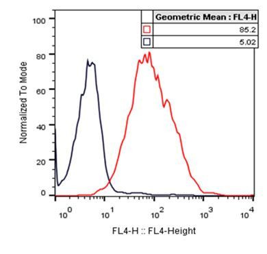 TIGIT Antibody in Flow Cytometry (Flow)