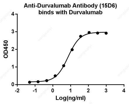 Durvalumab Antibody in ELISA (ELISA)