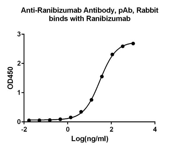 Ranibizumab Antibody in ELISA (ELISA)