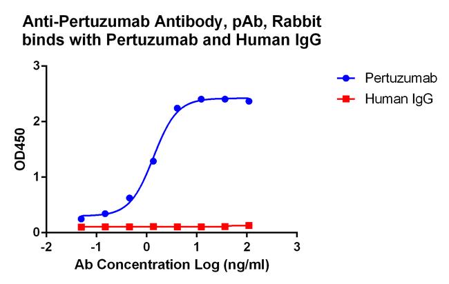 Pertuzumab Antibody in ELISA (ELISA)