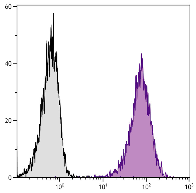 CD80 Antibody in Flow Cytometry (Flow)