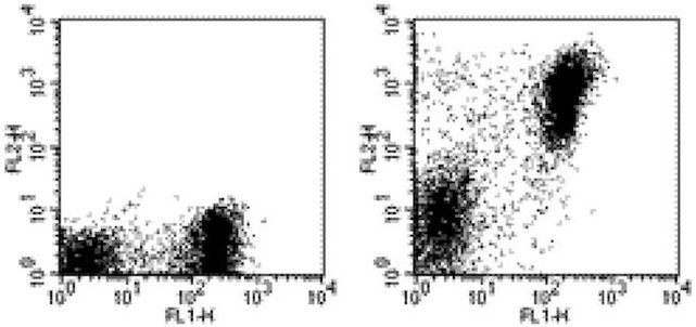 I-A/I-E Antibody in Flow Cytometry (Flow)