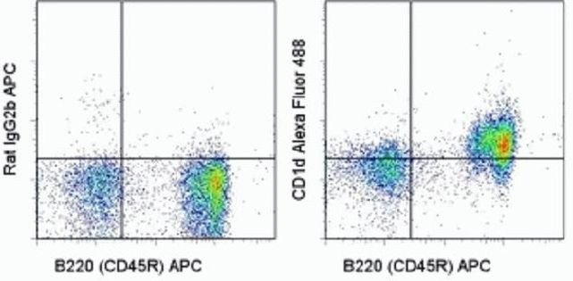 CD1d Antibody in Flow Cytometry (Flow)