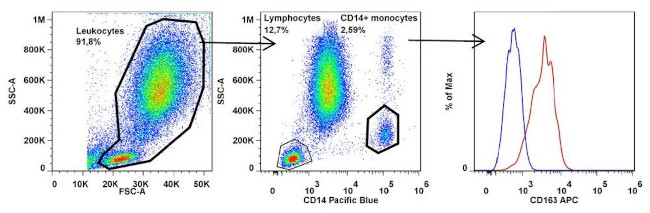 CD163 Antibody in Flow Cytometry (Flow)