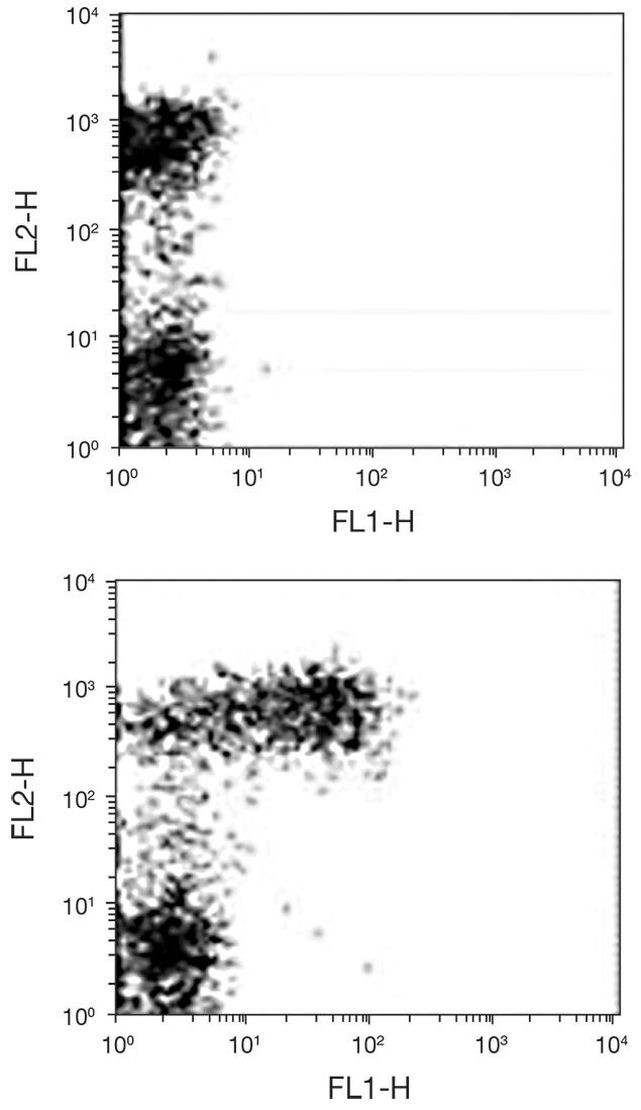 CD23 Antibody in Flow Cytometry (Flow)