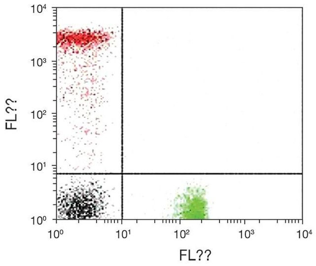 CD8 alpha Antibody in Flow Cytometry (Flow)