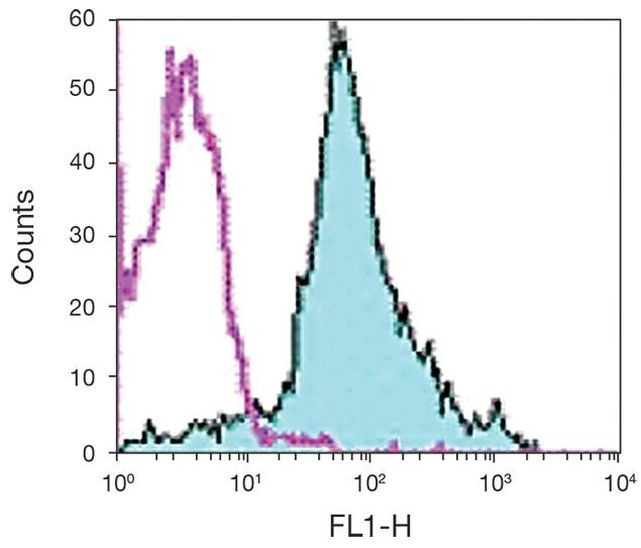 CD44 Antibody in Flow Cytometry (Flow)