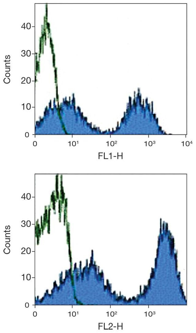MHC II Antibody in Flow Cytometry (Flow)
