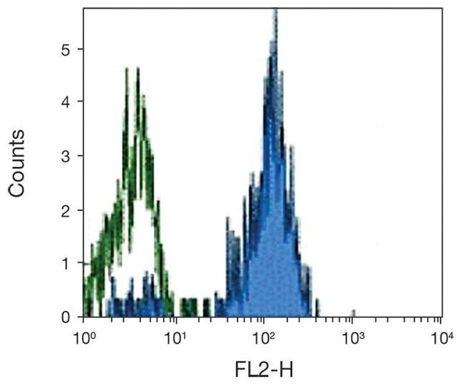 CD33 Antibody in Flow Cytometry (Flow)